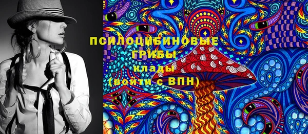ГАЛЛЮЦИНОГЕННЫЕ ГРИБЫ Алексеевка