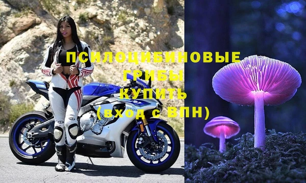 твердый Алзамай