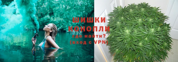 ГАЛЛЮЦИНОГЕННЫЕ ГРИБЫ Алексеевка