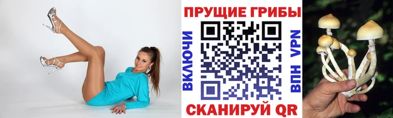 ОМГ ОМГ tor  Славск  Псилоцибиновые грибы мухоморы 
